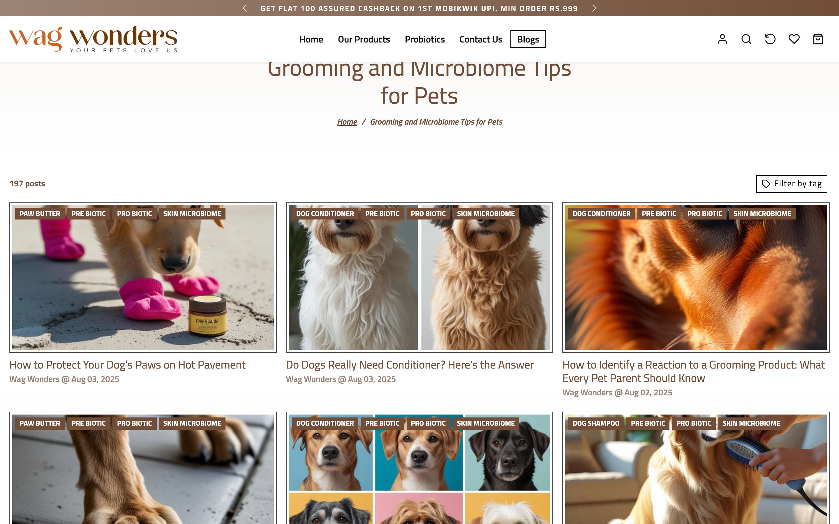 Wag Wonders Blog / articles